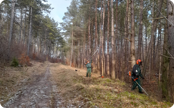 Gärtner führen Landschafts- und Naturschutzpflegearbeiten in Stadtwald Zierenberg durch